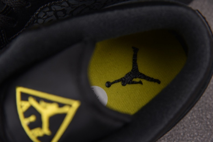 Air Jordan 1 Low Elephant Print 2025 IM6568-010