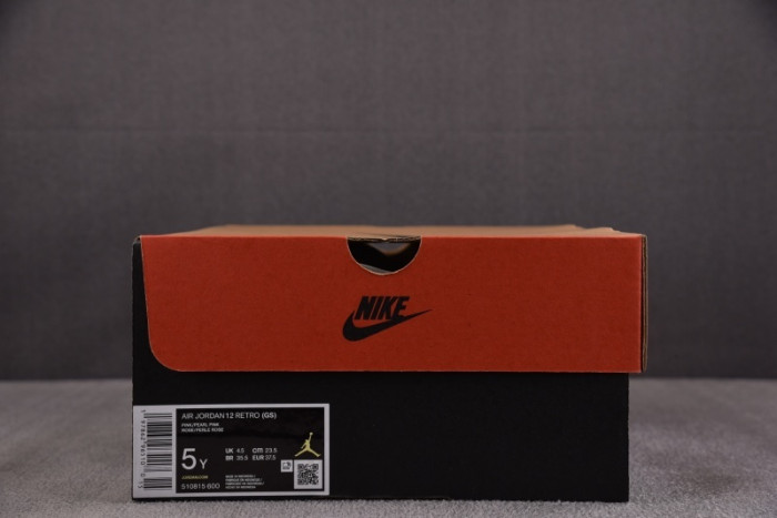 Air Jordan 12 Retro Pearl Pink 510815-600