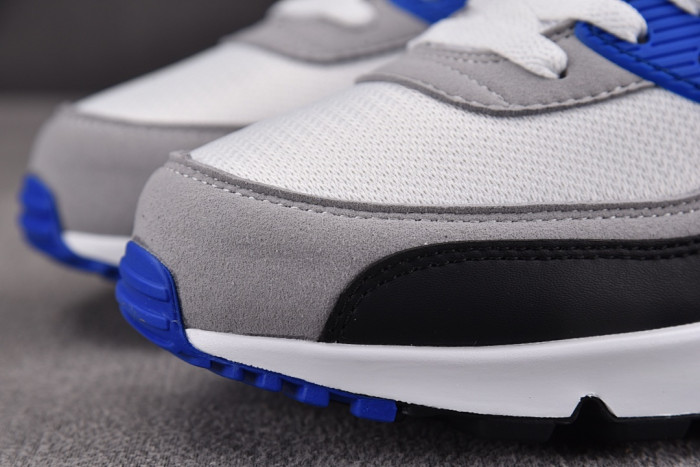 Nike Air Max 90 Recraft Royal CD0881-102
