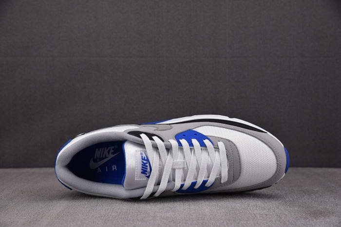 Nike Air Max 90 Recraft Royal CD0881-102