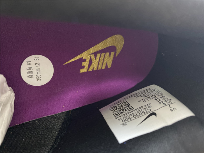 Nike Dunk Low SP Viotech CT5050-500