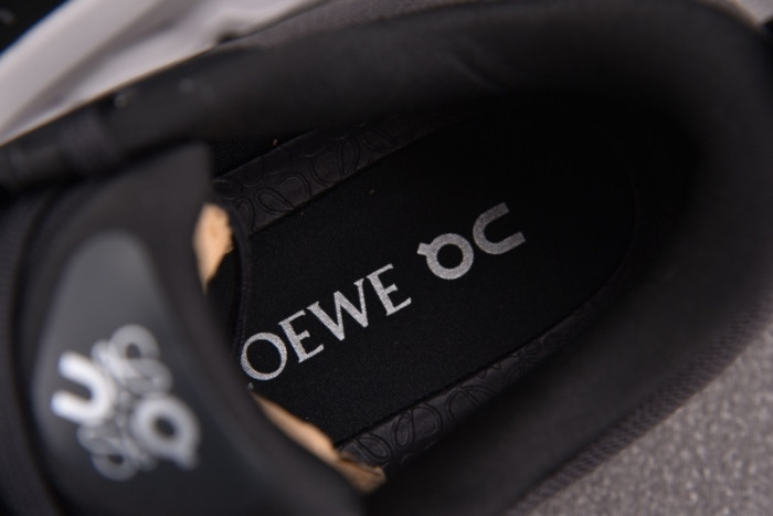 L0EWE Sneakers LW1000017