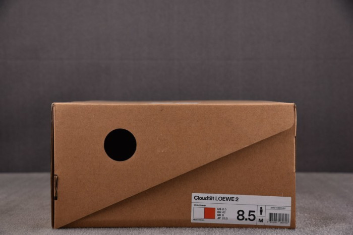 L0EWE Sneakers LW1000013