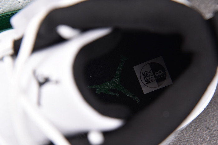 Air Jordan 12 "Bucks" CT8013-103