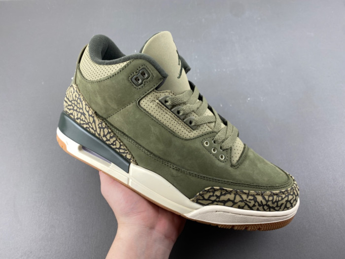 Air Jordan 3 Retro Family Affair DN3707-202