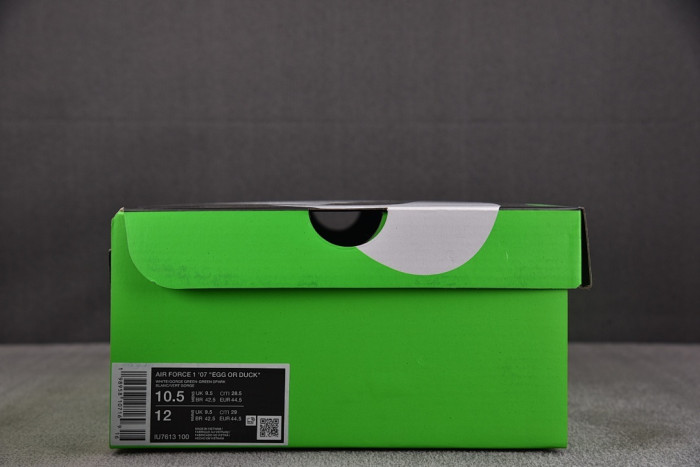 Air Force 1 x Oregon 