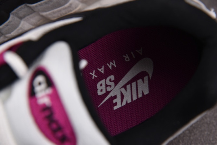 Nike Air Max 95 SB Cactus Flower HF7545-100