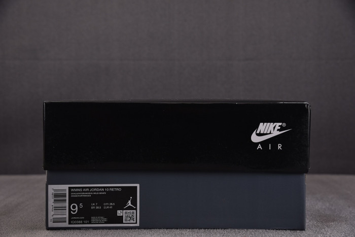 Air Jordan 10 Retro Hydrangeas IQ0388-101