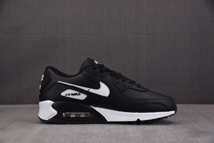 Nike Air Max 90 Leather GS 